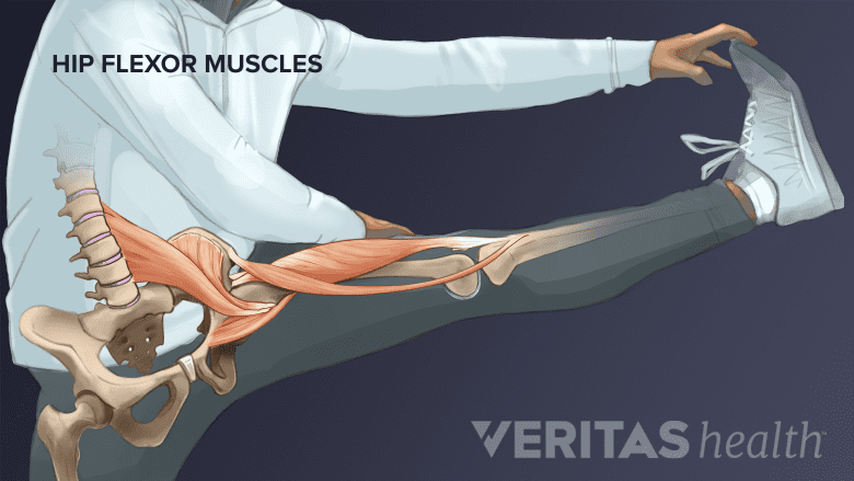 A person with their leg outstretched on a railing with the hip flexors painted on top.