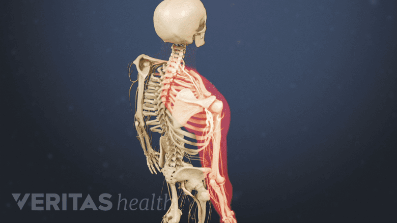 An image of upper body with one arm highlighted in red.