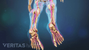 Pain highlighted in the bottom of the foot